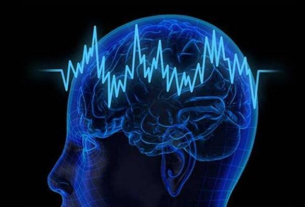 فرکانس سیگنالهای مغز ایرانی ها استخراج شد