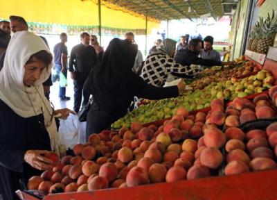 قیمت میوه های تابستانی انتها کاهشی شد ، زردآلو، انگو، آلبالو ، هندوانه و سیب گلاب کیلویی چند؟